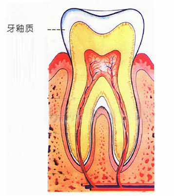 什么是牙釉质