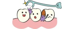 经常塞牙怎么办